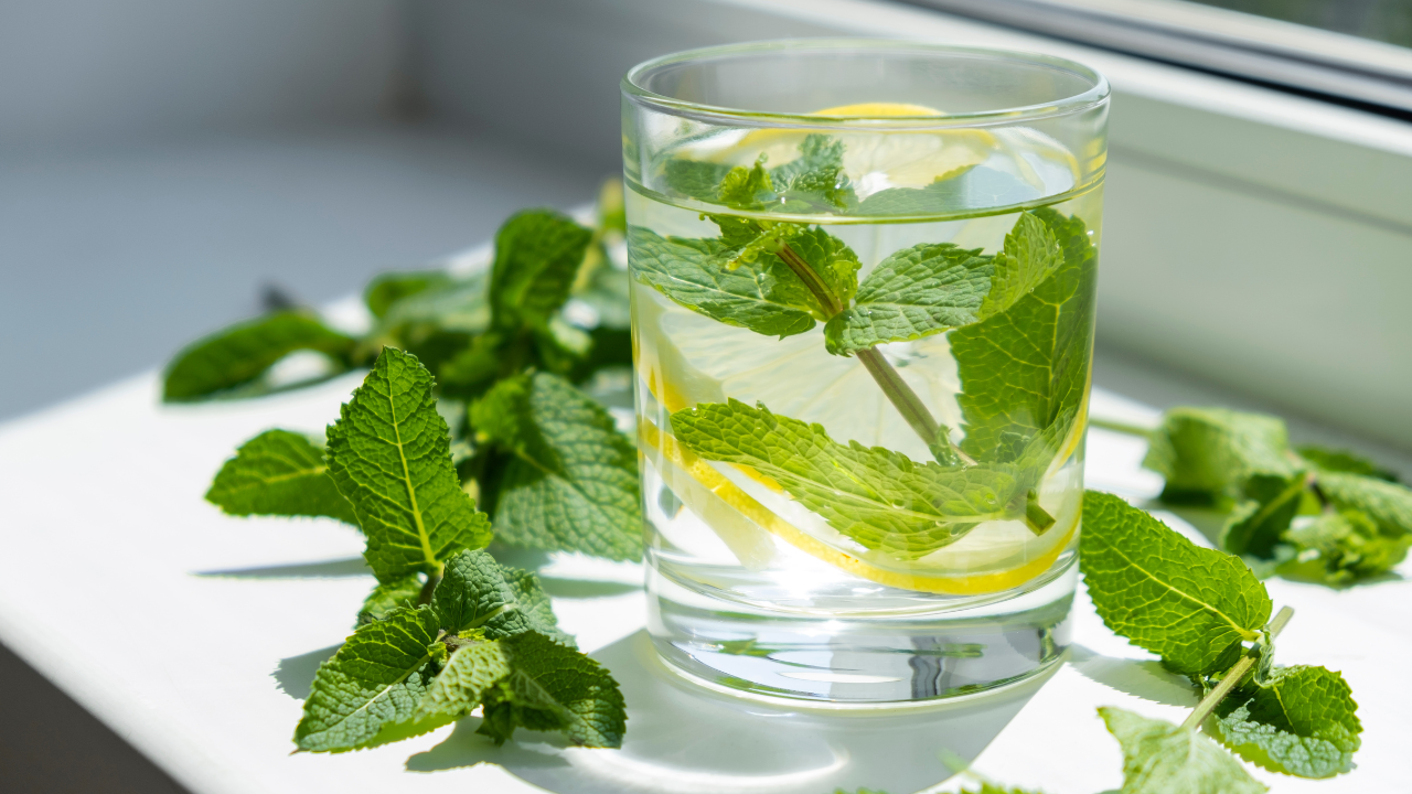 The Healing Benefits of Mint: Calm, Clarity, and Skin Health